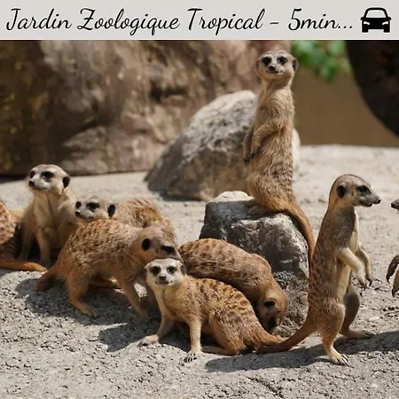 Special Couple & Famille - Lit Queen Size - Netflix - Climatisation - Terrasse Plein Sud - 2 Min Centre-Ville - 6 Min Mer - Parking Prive - Offre Speciale La Londe-les-Maures Exterior photo